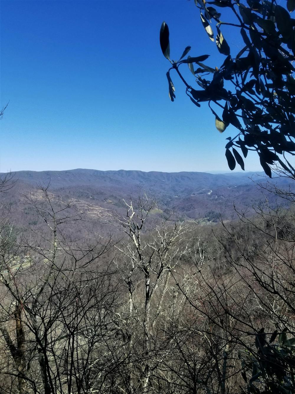 Photo from Appalachian Trail: Hot Springs to Sam's Gap