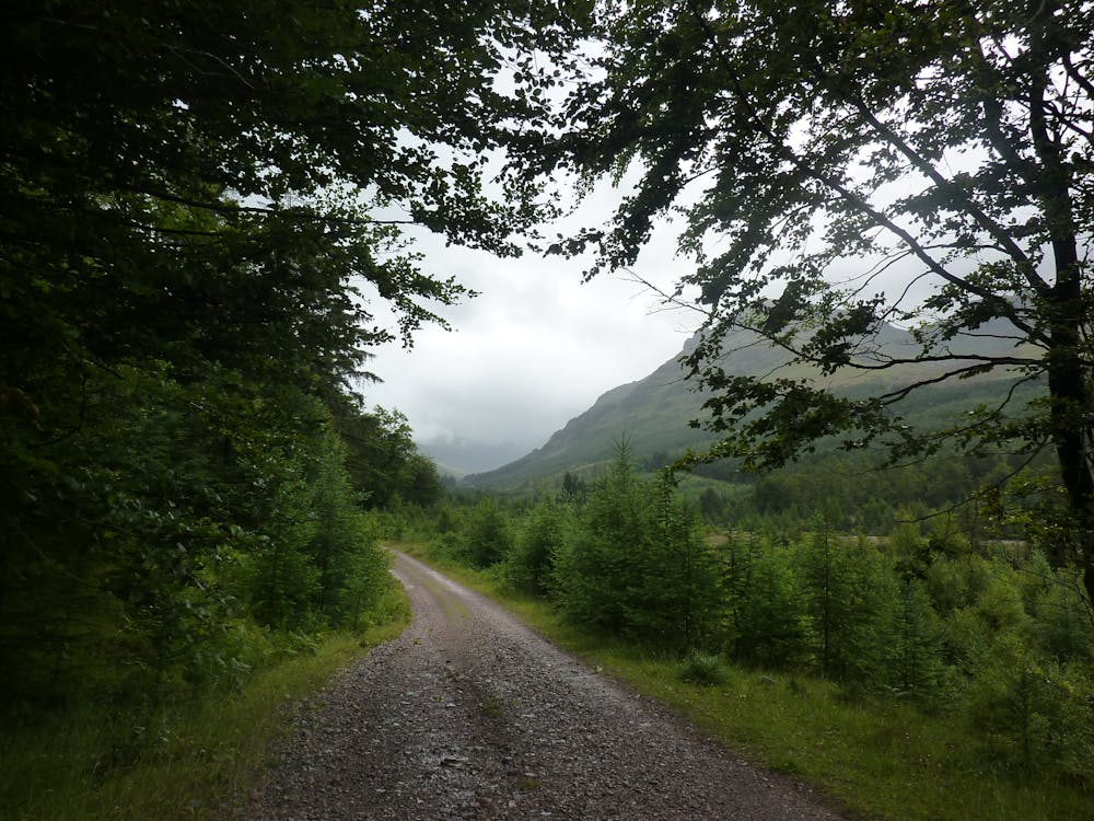 The Ennerdale Forest Road