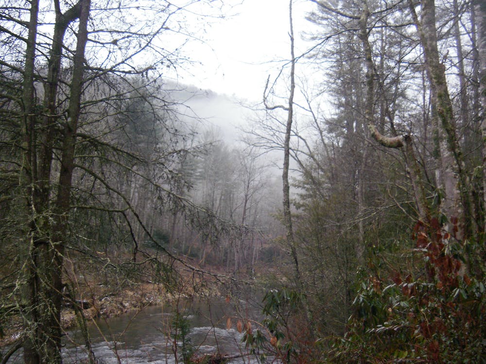 Photo from Appalachian Trail: Wilder Mine Hollow to Watauga Lake