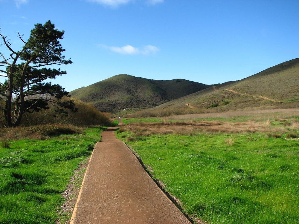 Green grass in Tennessee Valley