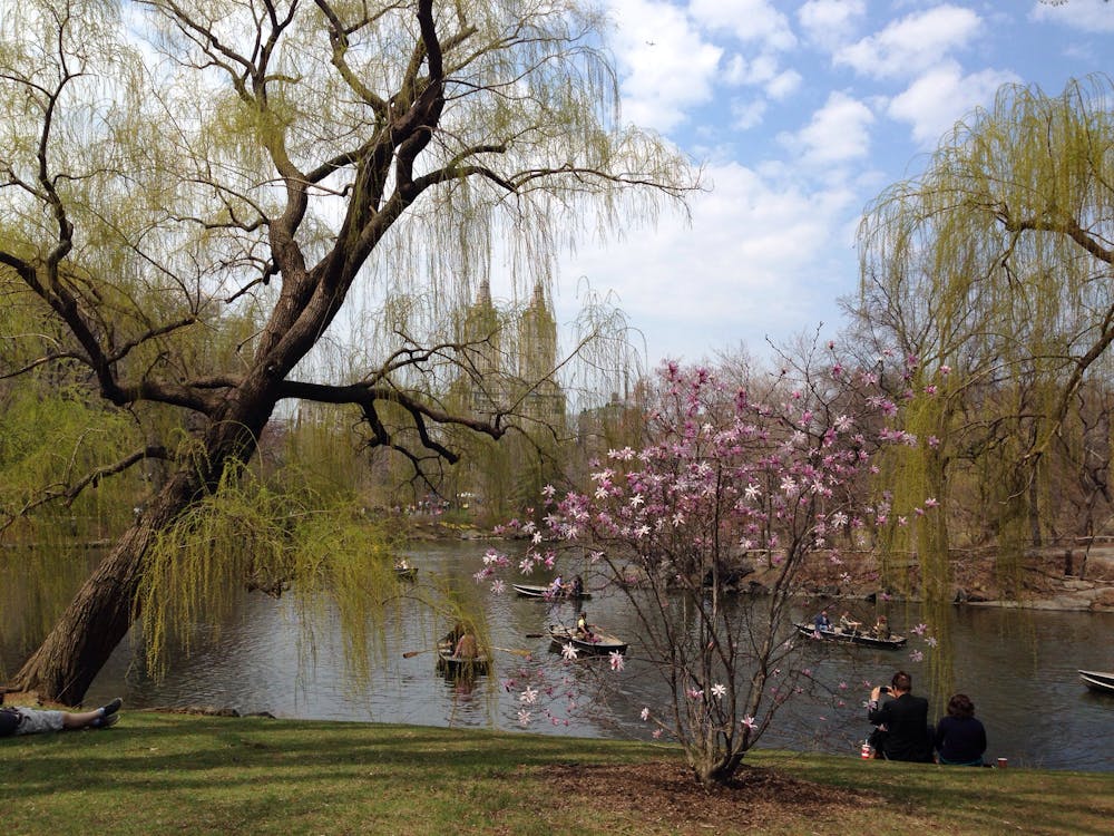Springtime, Central Park