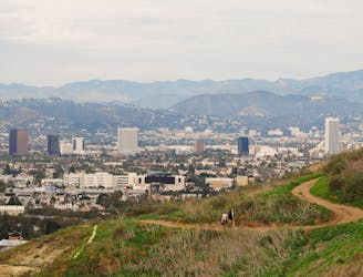 Trail Running Los Angeles: Best Runs in the City