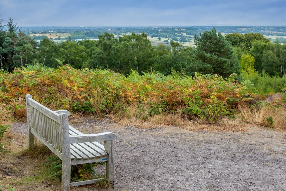 Park bench overlooking the wide landscape in Lickey Hills Country Park