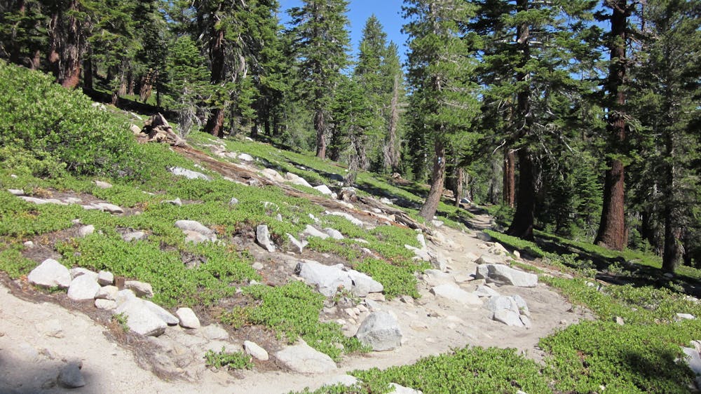 Photo from Tahoe Rim Trail: Heavenly Mountain to Big Meadow