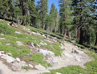 Tahoe Rim Trail: Heavenly Mountain to Big Meadow