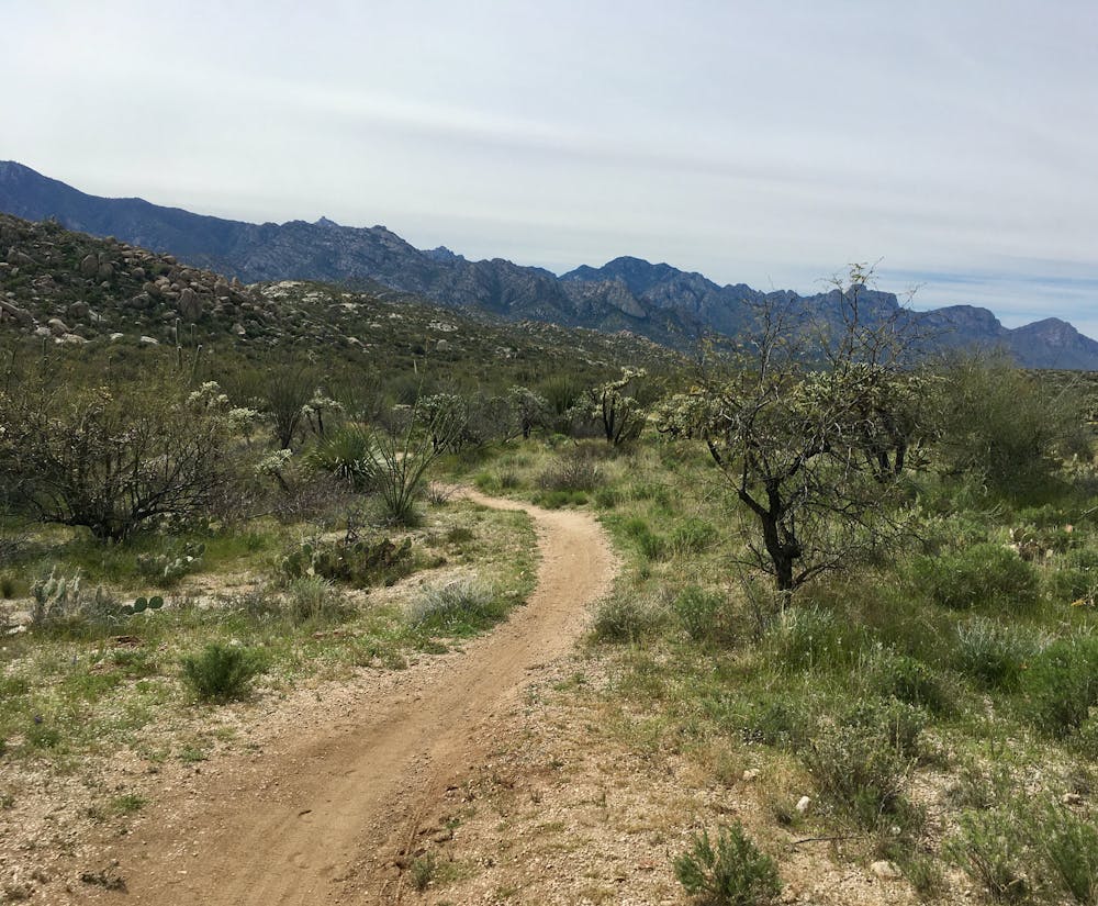 Photo from 50-Year Trail