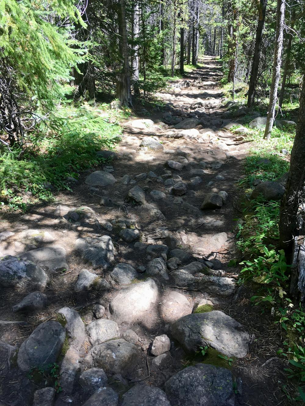 Photo from Colorado Trail: Tennessee Pass to Holy Cross Wilderness Out-and-Back