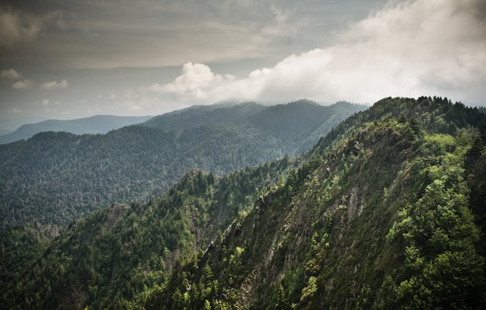The 4 Most Epic Trail Runs in the Great Smoky Mountains