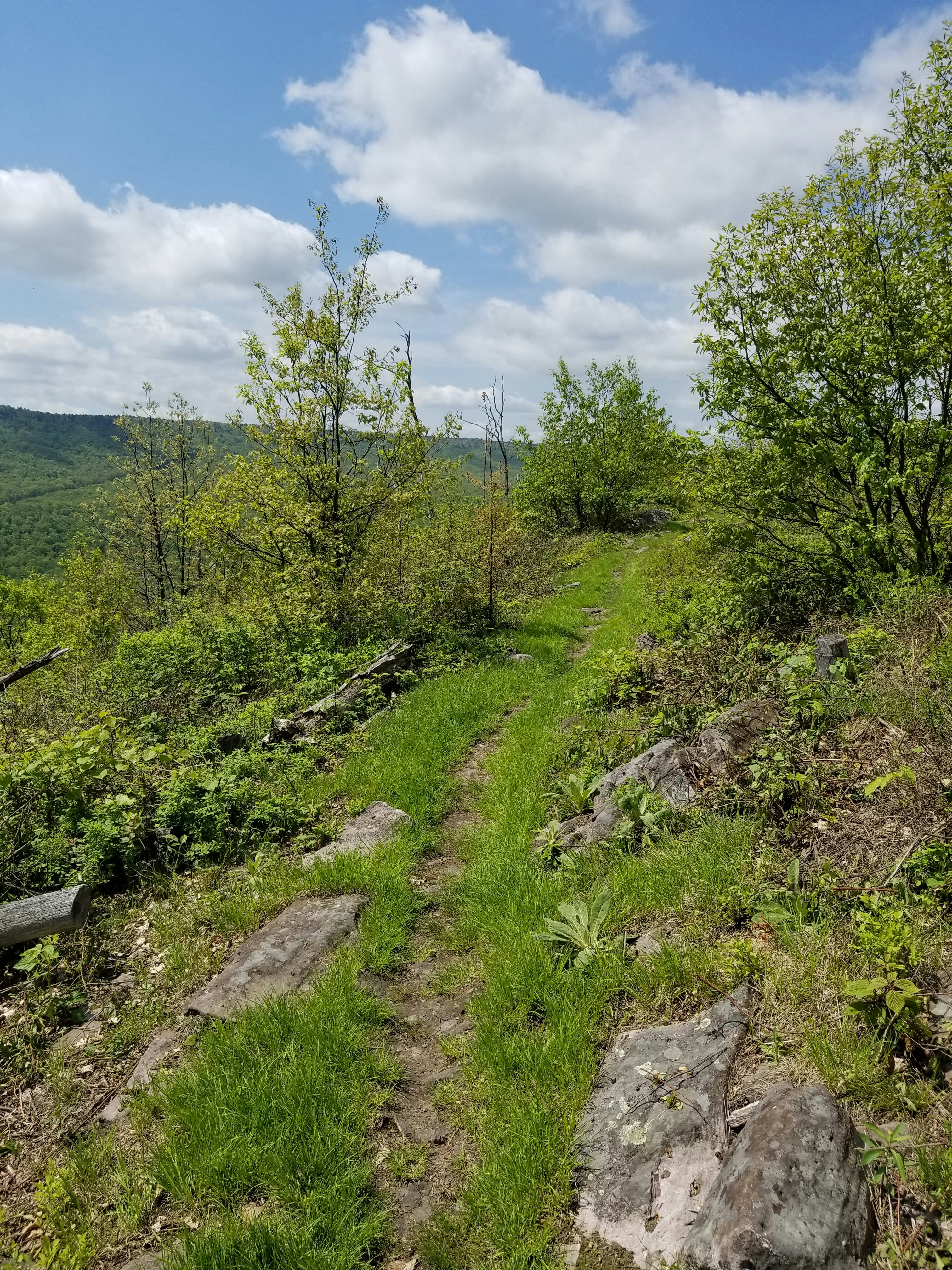 Tussey Mountain Trail  Hiking route in Pennsylvania  FATMAP