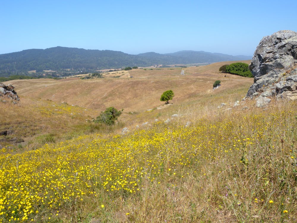 Looking over Olema Valley from Bolinas Ridge