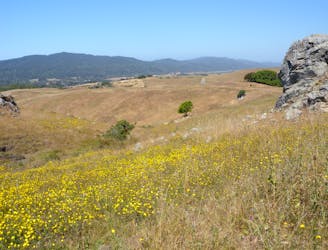 Bolinas Ridge and Olema Valley Loop