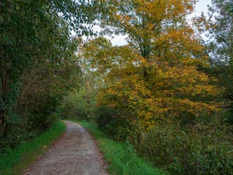 Montour Trail