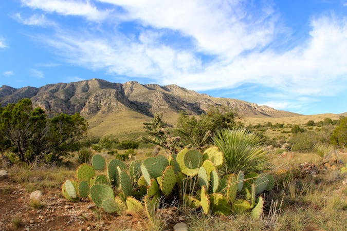 4 Short, Easy Hikes in Guadalupe Mountains National Park