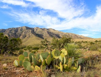 4 Short, Easy Hikes in Guadalupe Mountains National Park