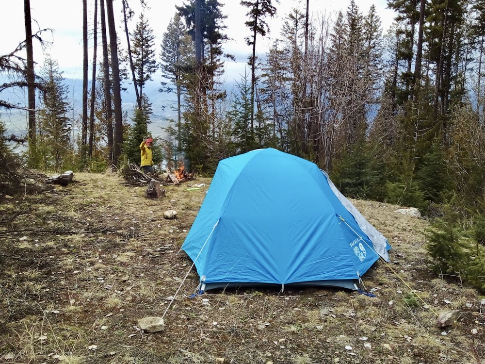 A great campsite about 12 kms south of Cosens Bay