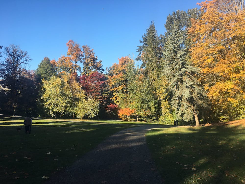 Ravenna Park October 2017