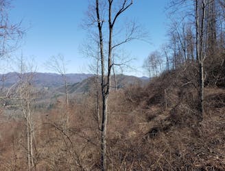 Mill Ridge Trail