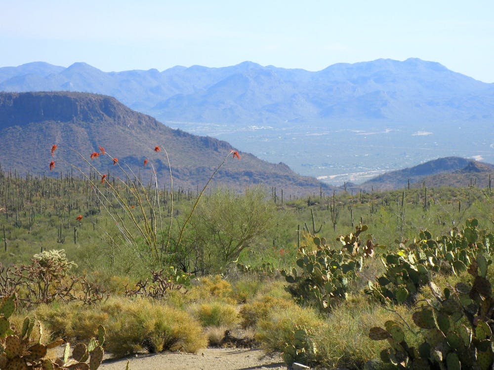 View from the ridge on Sendero Esperanza