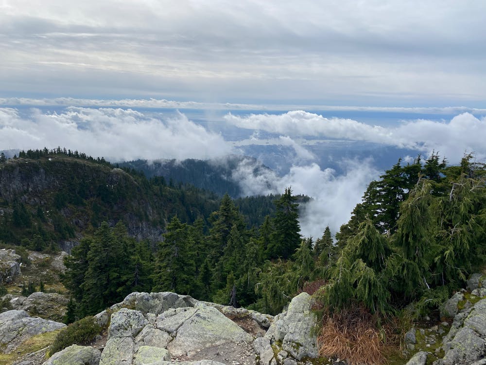 Photo from Mt Seymour Hike