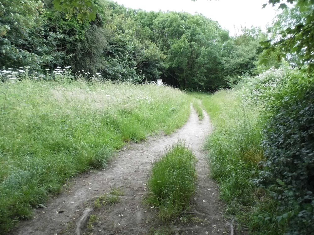 Fairlawn path