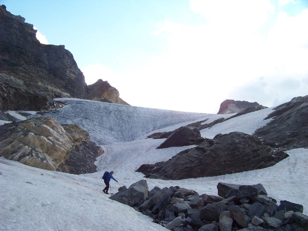 Frond du glacier de Bassagne
