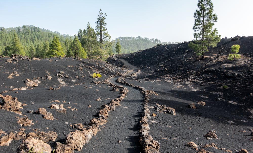 Black lava landscape