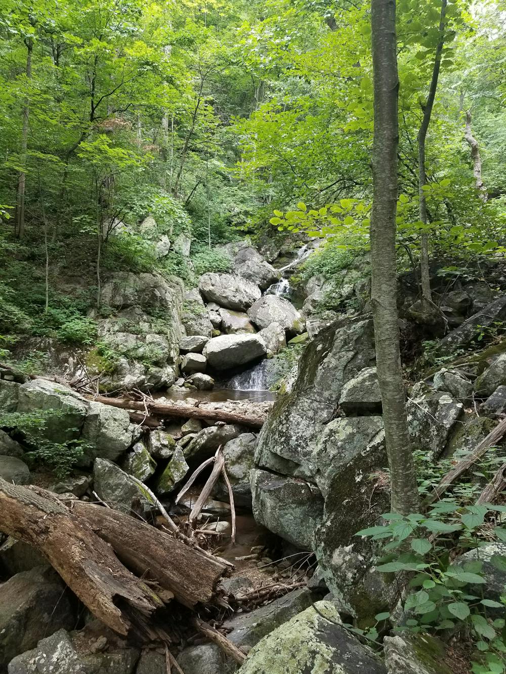 Photo from Three Ridges Wilderness Loop