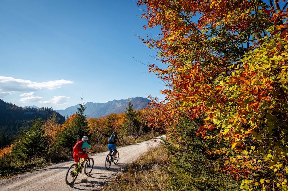 Autumn mountain biking in the Gosau valley