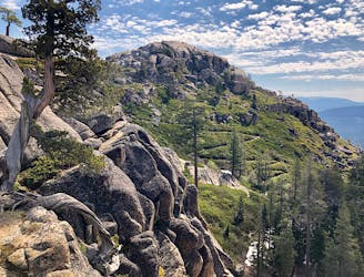 PCT: Donner Pass to Sierra City