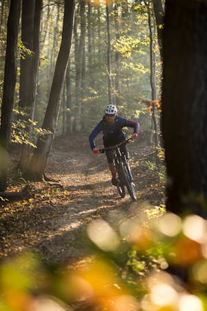 The Top Mountain Biking Trails Hidden in Vienna's Woods