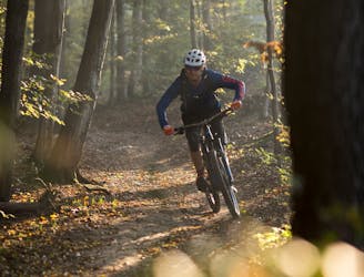 The Top Mountain Biking Trails Hidden in Vienna's Woods