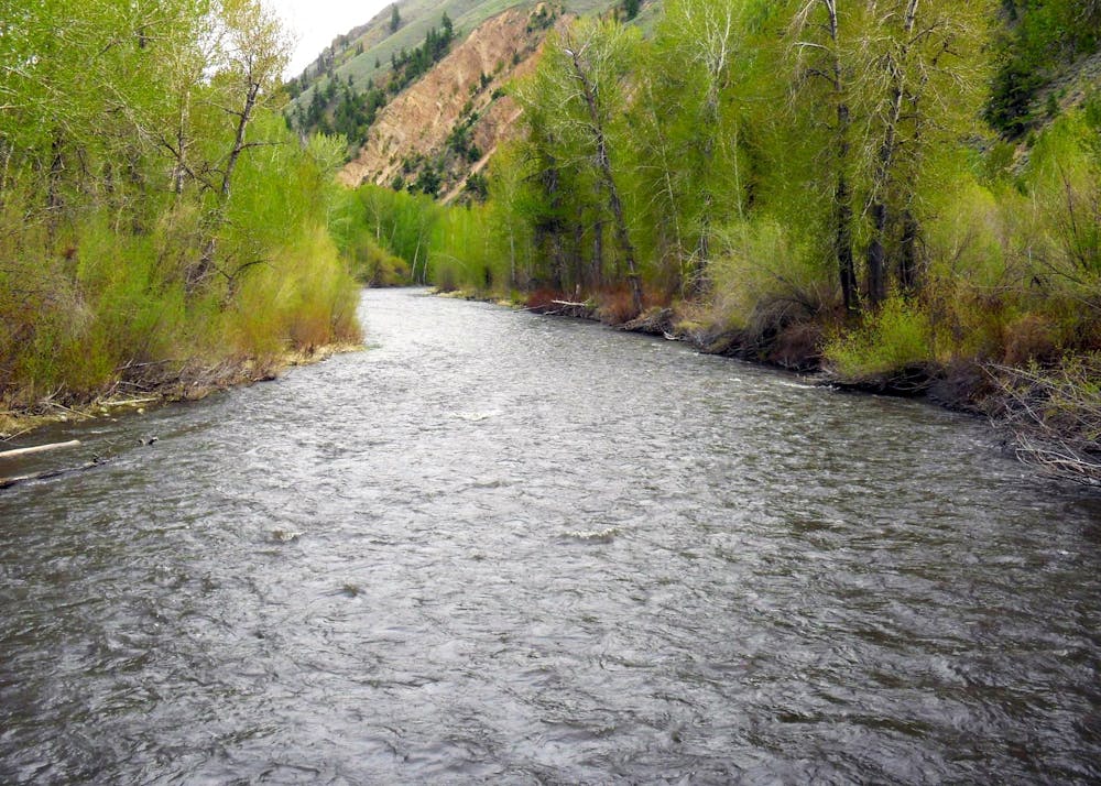 The Big Wood River in Hailey, Idaho