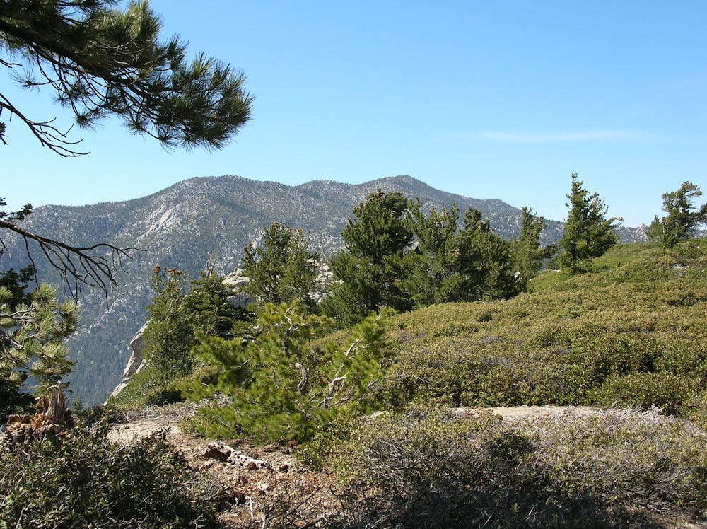 Higher in the San Jacinto Mountains