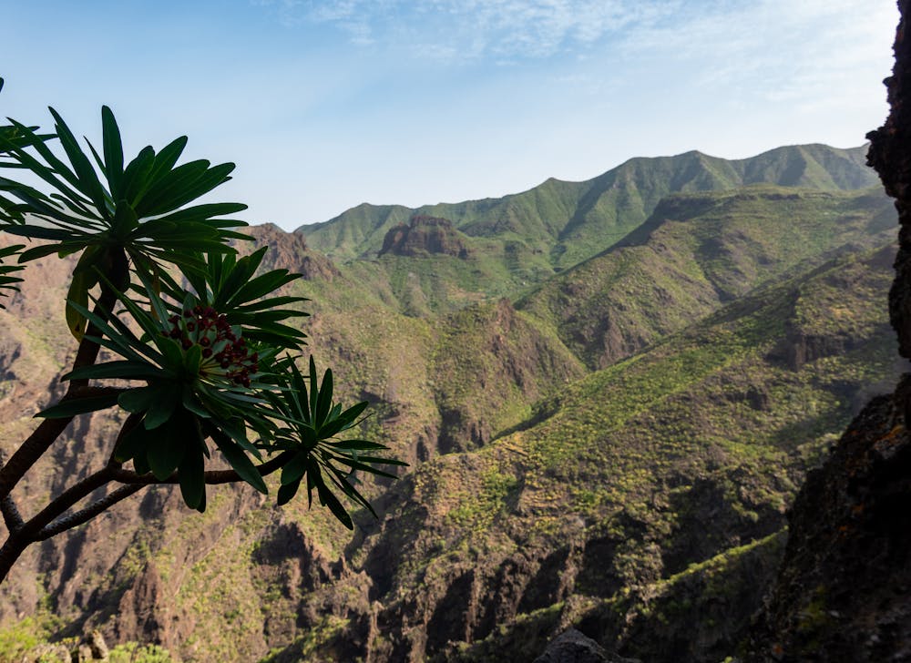 Views of Tenerife as you climb the switchbacks. 