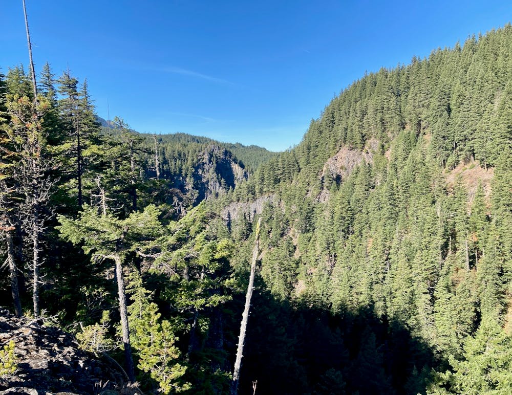 Photo from Diamond Creek Falls Loop