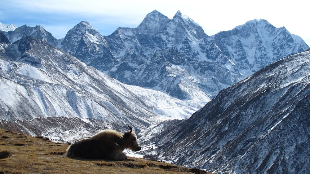 Photo from Everest Base Camp Trek: Dingboche to Lobuche