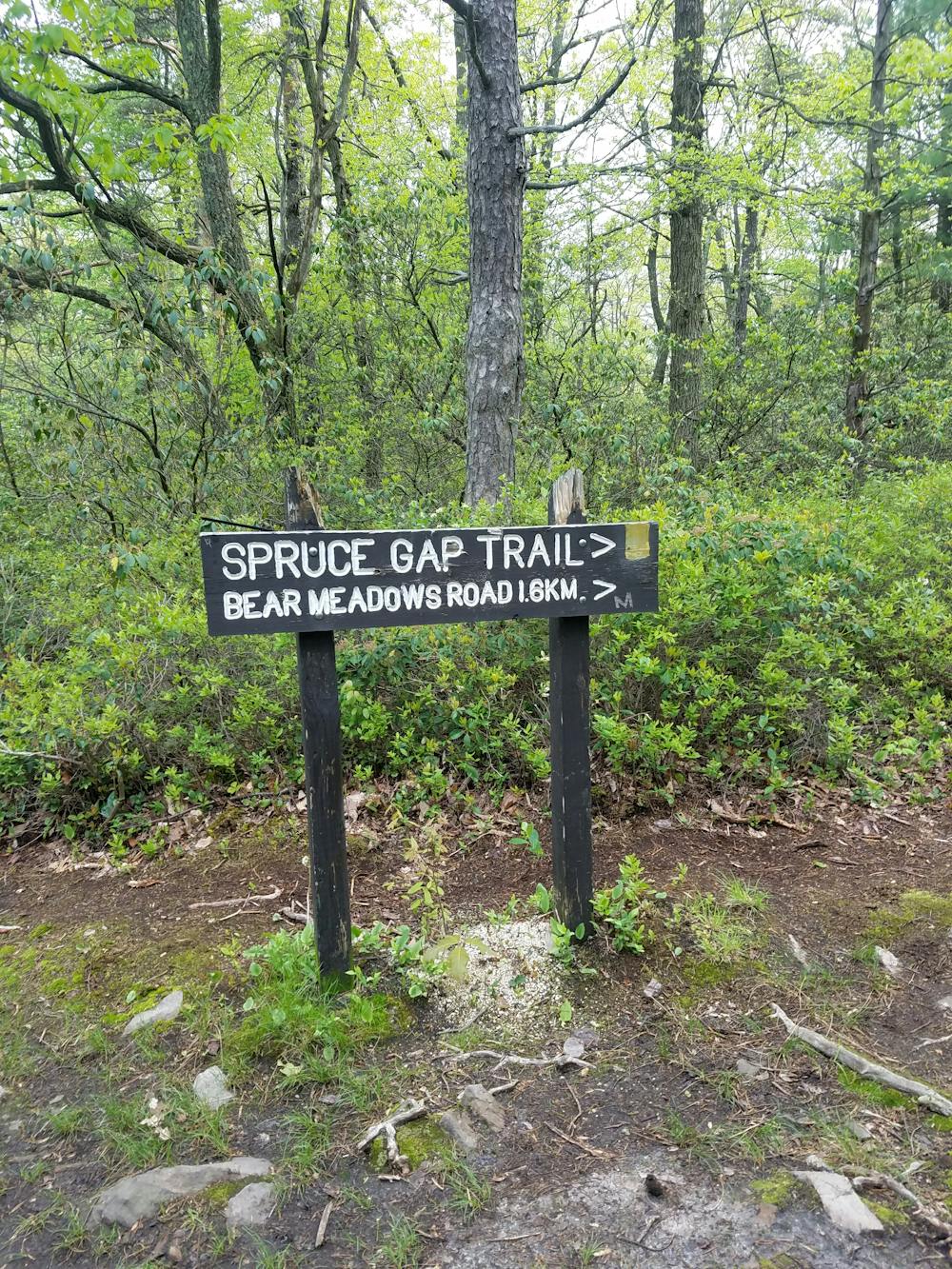 Spruce Gap Trail