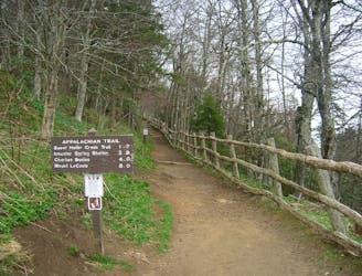 Appalachian Trail: Newfound Gap to Davenport Gap
