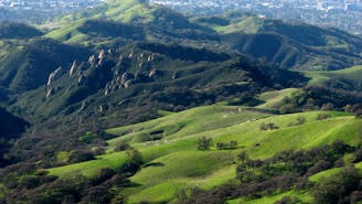 Mount Diablo Loop from Mitchell Canyon