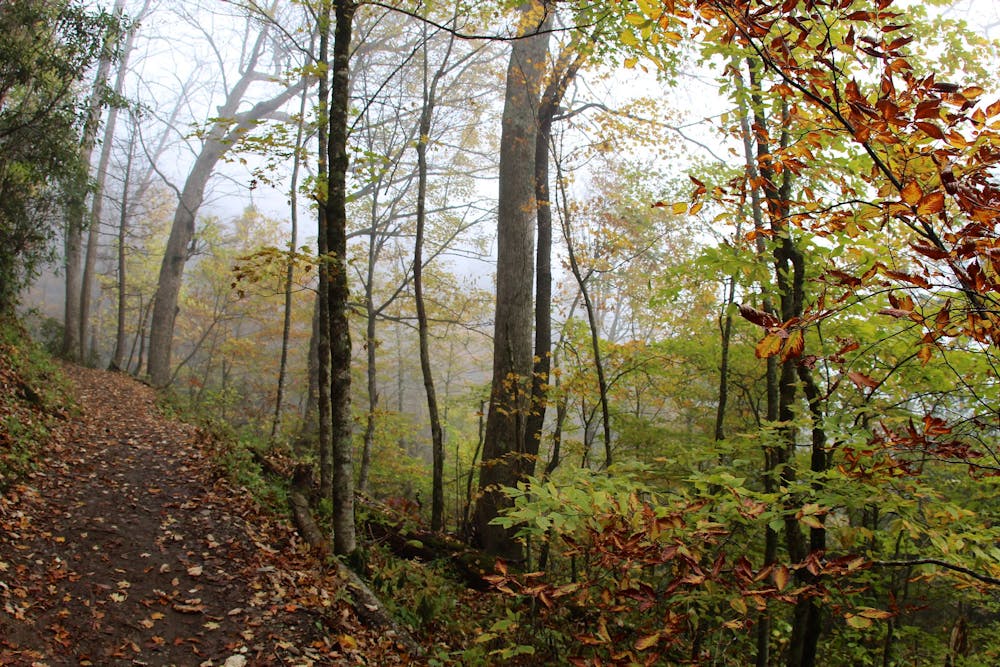 Fall foliage on Chimney Tops Trail