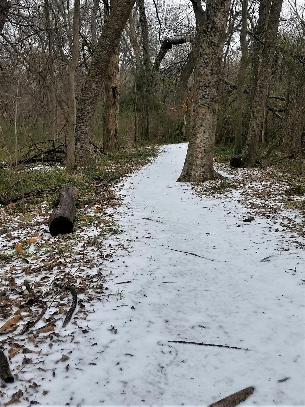 Snow at Oak Point Nature Preserve