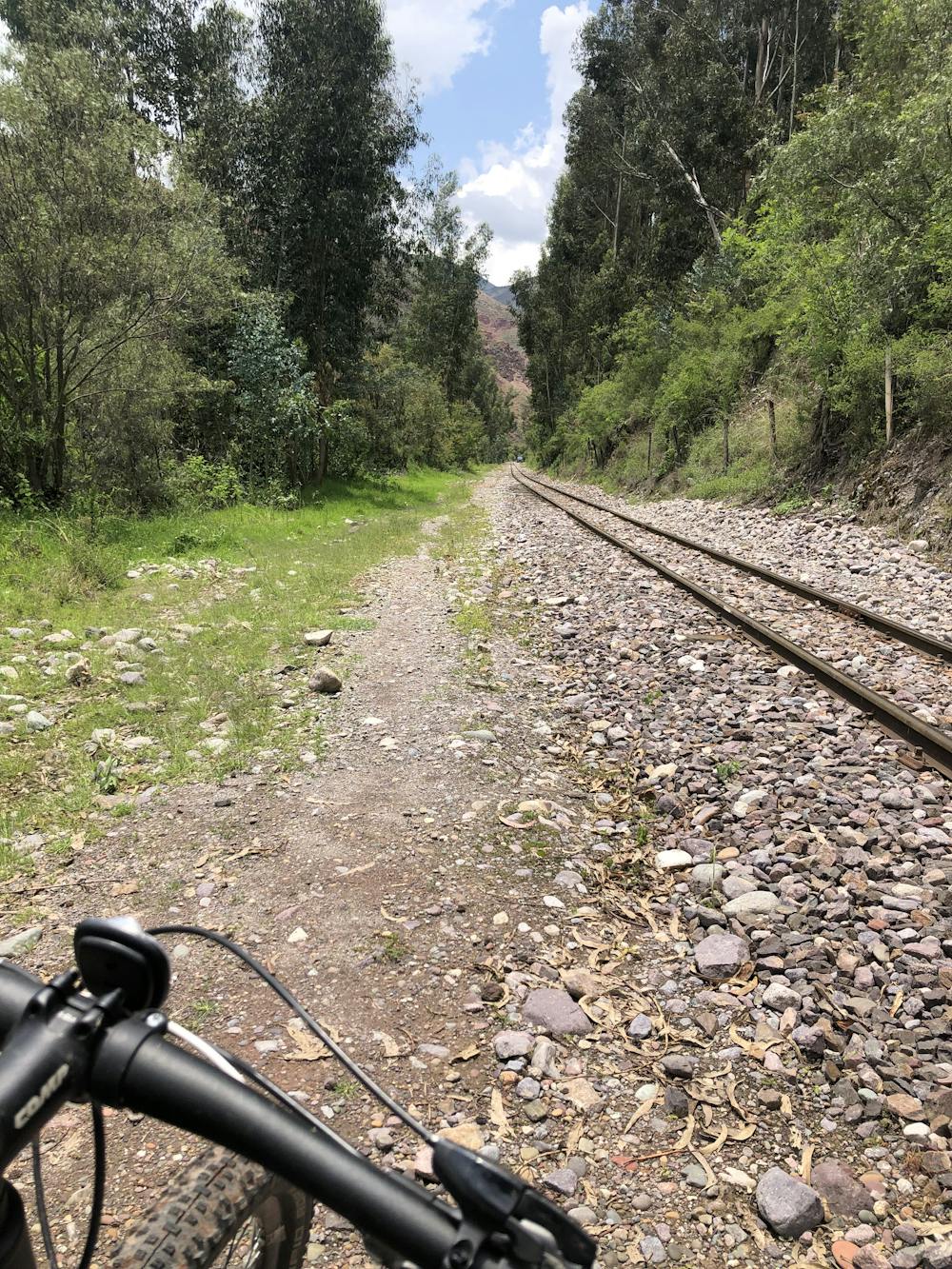 Stretch along the railroad