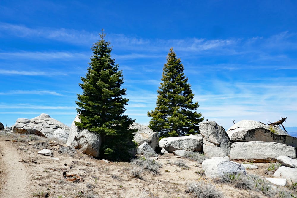 Rocky hilltop in the San Jacinto Mountains