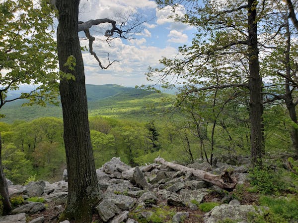 Pennsylvania's Finest Hike - The Standing Stone Trail