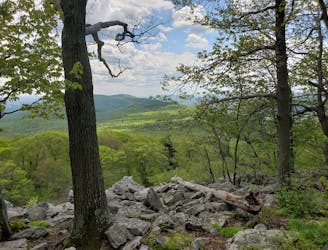 Standing Stone Trail: Cowan's Gap State Park to Mapleton