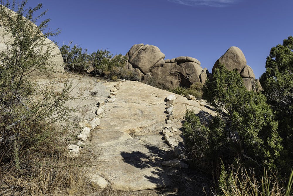 Stones outlining the trail