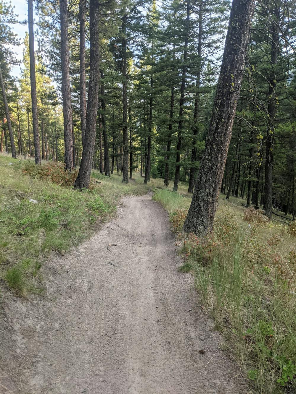 Smooth singletrack makes up most of this route
