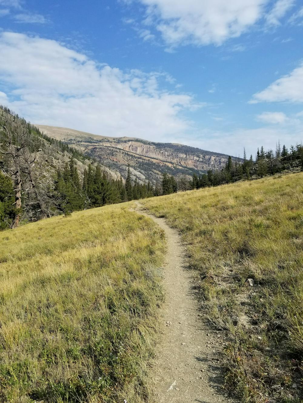 Photo from Glacier Trail Loop