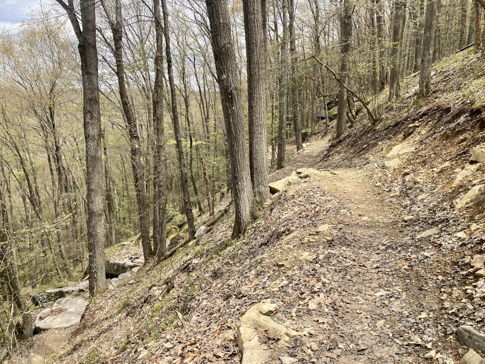 Bent Run Trail