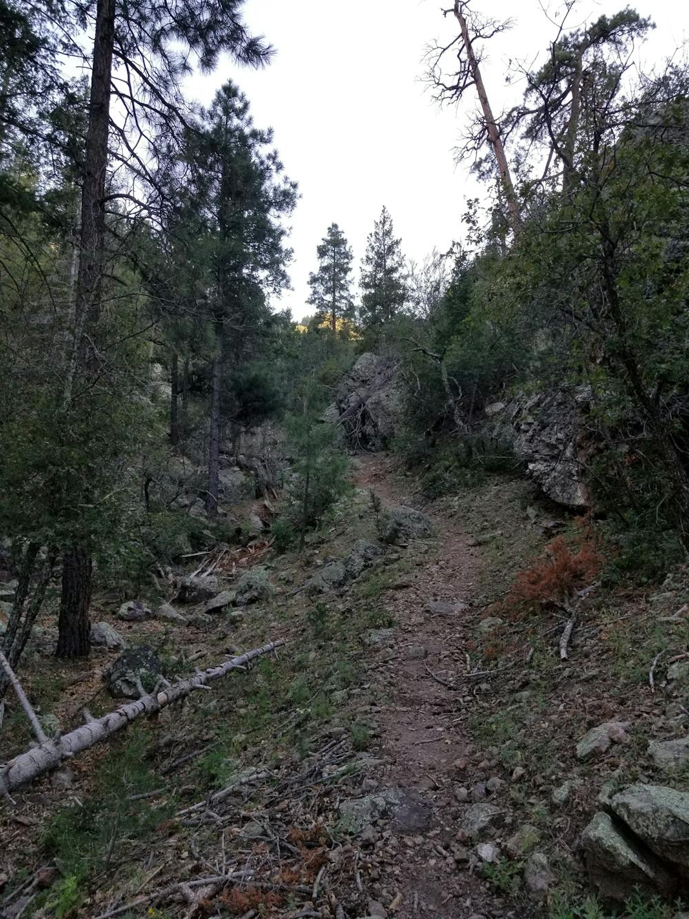 Photo from Mesa Trail Loop